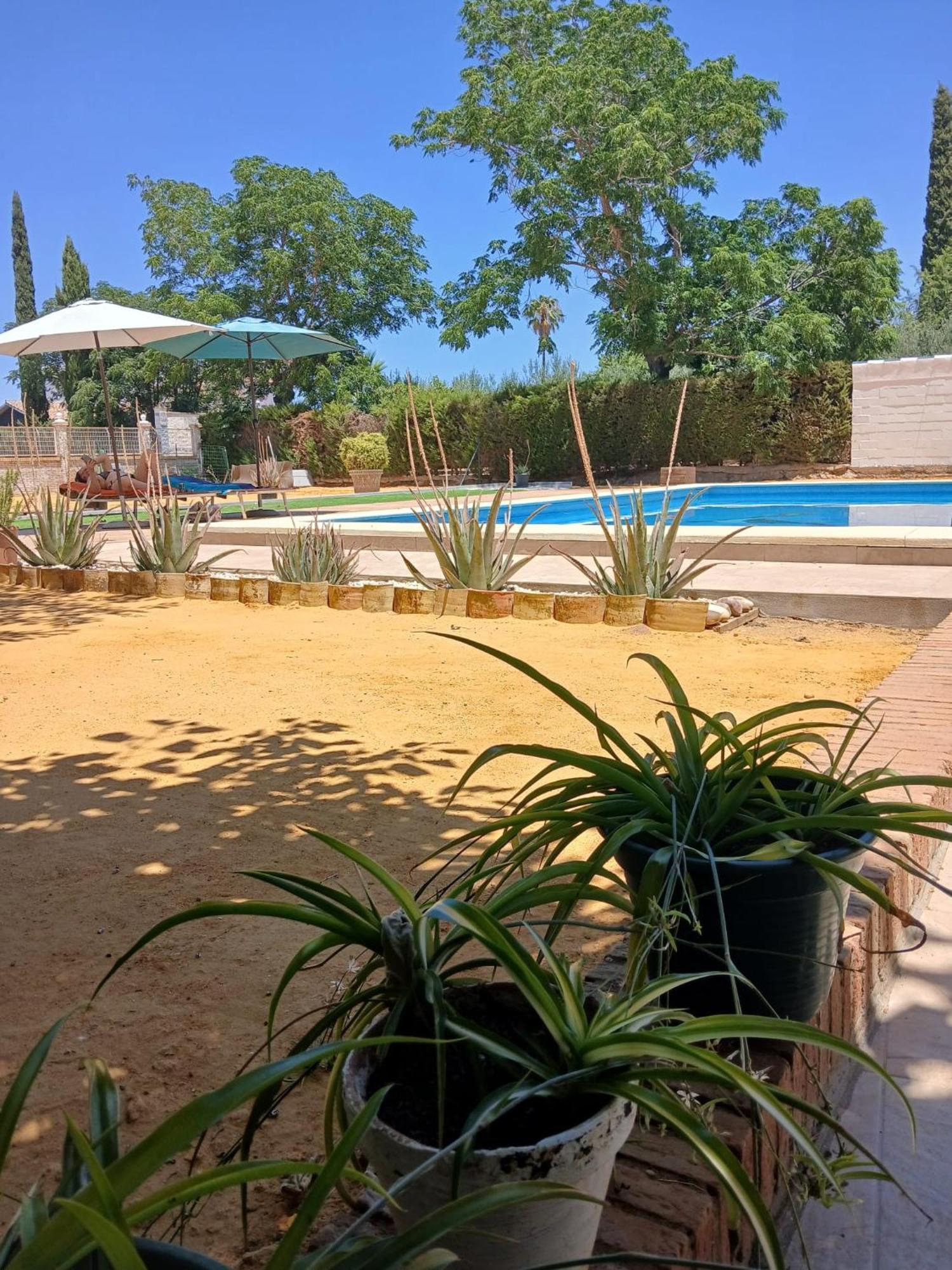 Relaxing Carmona (Seville)